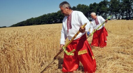 Кооперація може допомогти аграріям України, аби не «людський фактор»