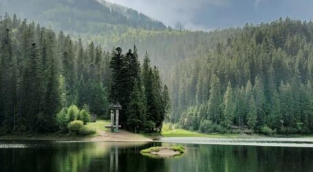 Кам’янчани можуть здійснити віртуальні подорожі найкрасивішими парками та заповідниками України