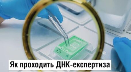 Пошук зниклих безвісти: як відбувається призначення ДНК-експертизи