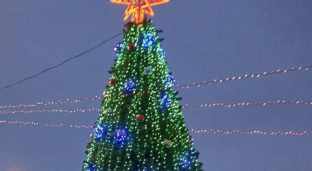 Скромну 8-метрову новорічну ялинку встановлять у Кам’янському Дня Святого Миколая