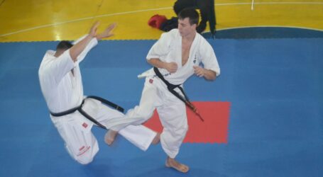 «Шлях до майстерності» проходили каратисти в Кам’янському