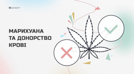 Чи можуть споживачі конопель бути донорами