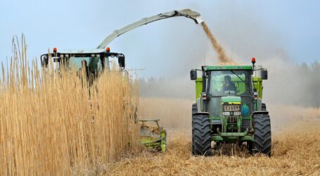 У фермерів Дніпропетровщини бракує грошей на «агрохімію»
