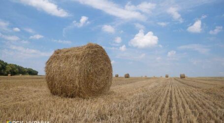 У Мінагрополітики назвали регіон України з найдорожчою землею