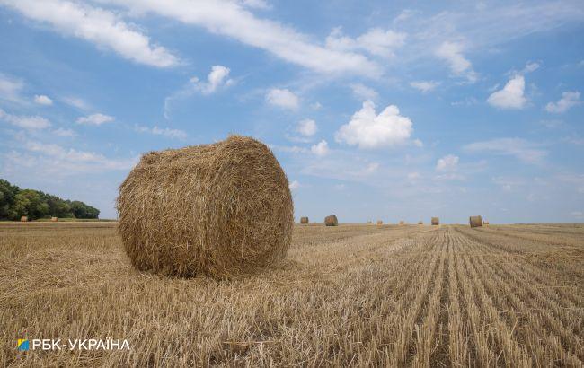 У Мінагрополітики назвали регіон України з найдорожчою землею