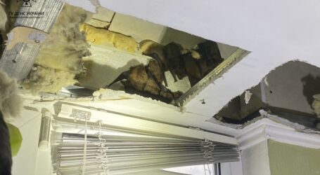 140 кажанів поселились на балконі багатоповерхівки у Дніпрі
