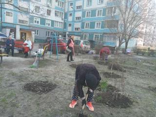 Кам'янчан закликають долучатися до прибирання своїх дворів та прилеглих до них територій - ФОТО