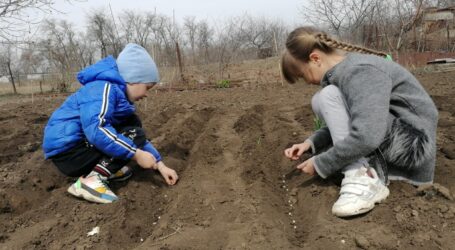 Про дачу і болячку на додачу попереджають фахівці мешканців Кам’янського