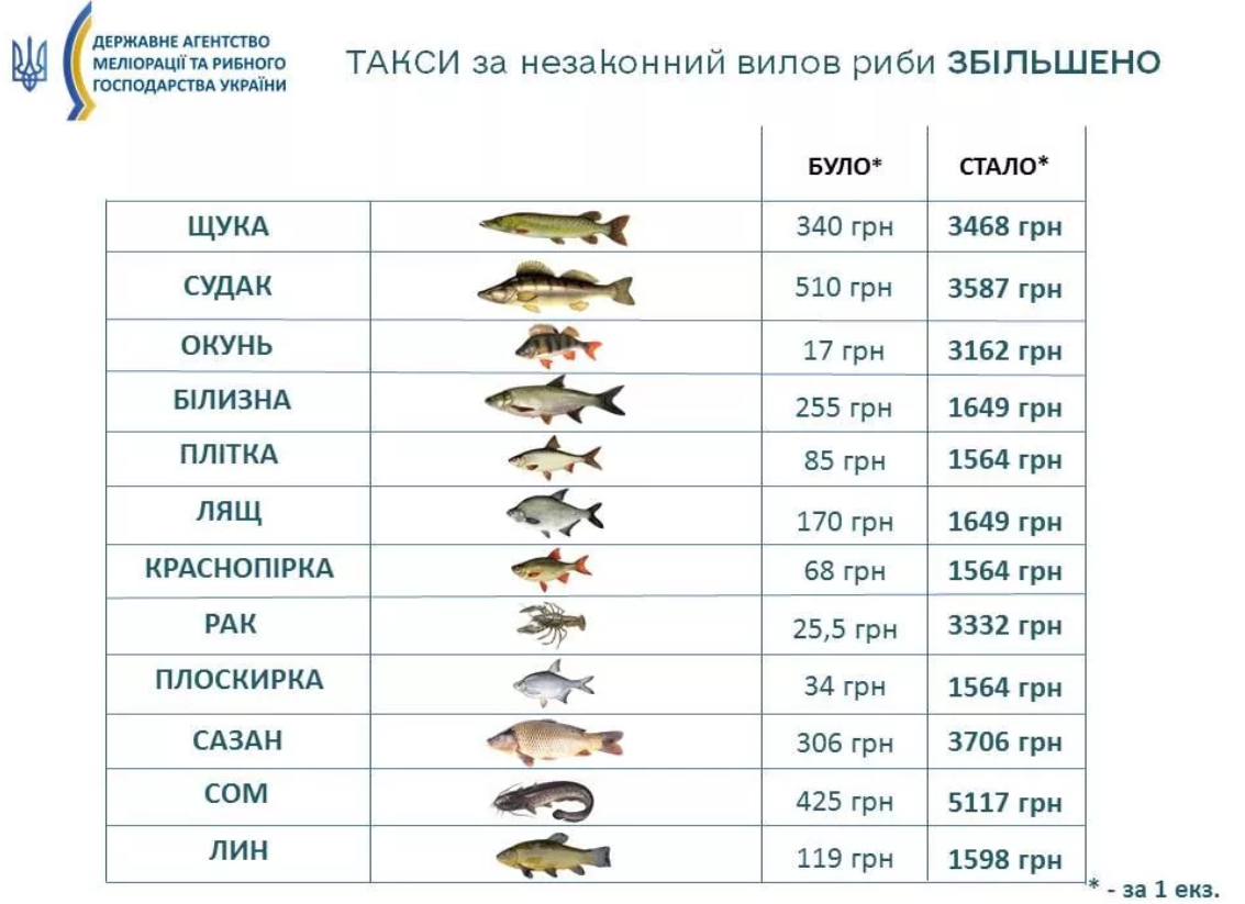 Що зміниться для рибалок з 1 квітня - ФОТО