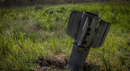Понад 5 мільйонів гектарів земель в Україні не можна обробляти через війну