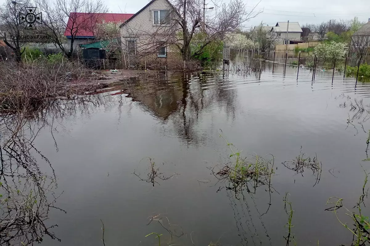 У Курилівці люди на городах руками збирають карасів і коропів - ФОТО