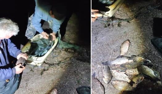 Понад 280 тис. грн збитків за тиждень завдали порушники правил риболовлі на Дніпропетровщині