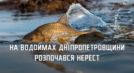 На Дніпропетровщині стартували нерестові обмеження на вилов риби