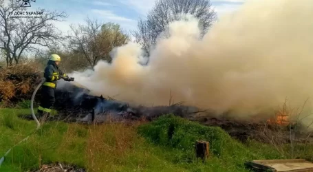 В екосистемах на території Дніпропетровщини за день ліквідували 15 пожеж
