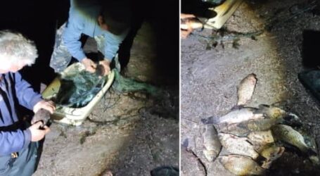 Понад 280 тис. грн збитків за тиждень завдали порушники правил риболовлі на Дніпропетровщині