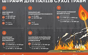 В Кам'янському районі навесні цього року зафіксовано більш ніж 30 пожеж на відкритій території - ФОТО