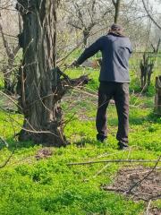 В Кам'янському органи самоорганізації населення активно долучаються до доброустрою - ФОТО