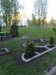 Органи самоорганізації населення продовжують роботи з доброустрою - ФОТО
