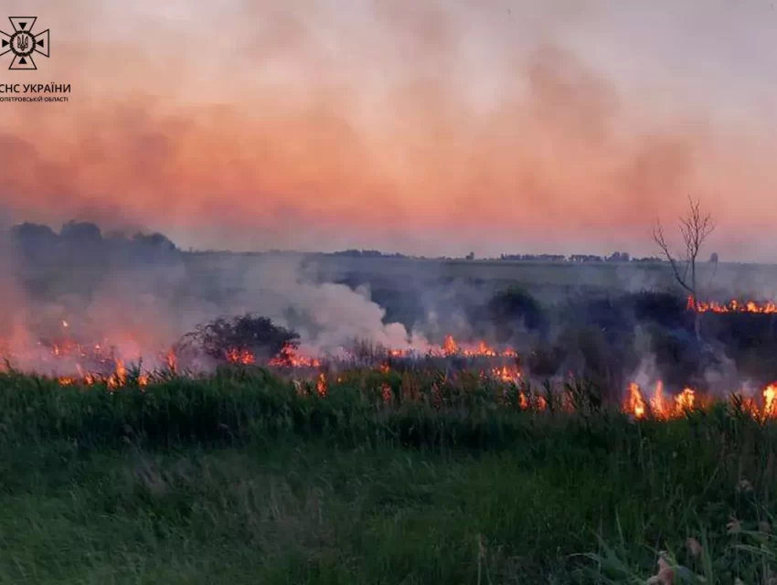 Понад 200 разів з початку літа горіли екосистеми на Дніпропетровщині