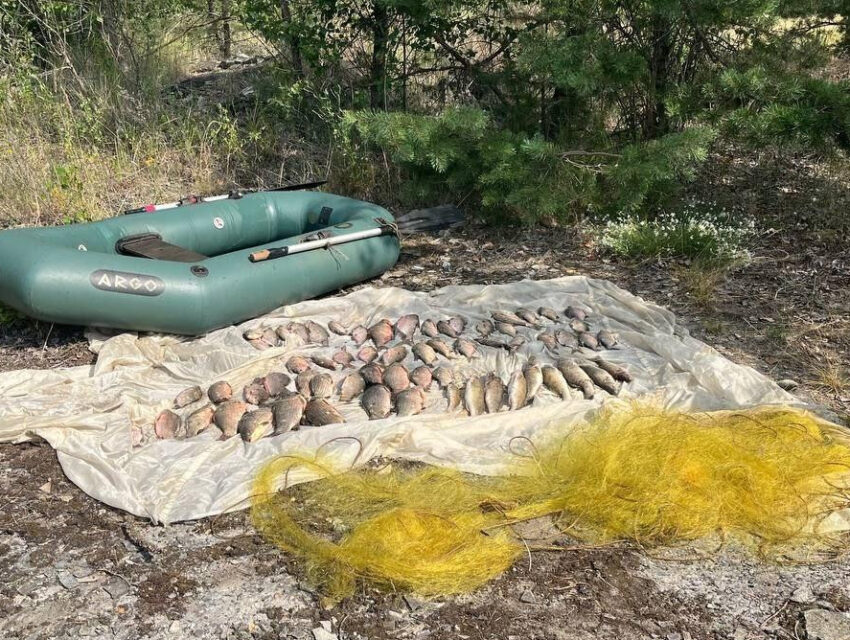 Більш ніж пів мільйона збитків державі нанесли затримані рибалки-браконьєри на Дніпропетровщині