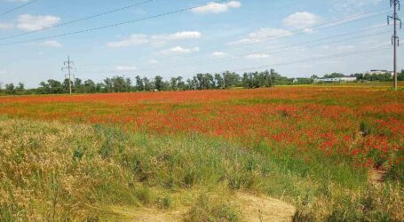 У Кам’янському з’явилася краса, яку не описати словами