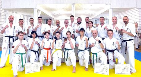 У Кам`янському збільшилася кількість сенсеїв