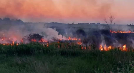 Про заходи щодо запобігання та протидії масовим пожежам в екосистемах нагадали кам’янчанам надзвичайники