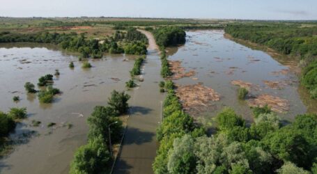 Декілька мільйонів тонн врожаю втратить Україна через підрив Каховської ГЕС