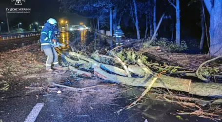 На Дніпропетровщині внаслідок негоди без світла залишились понад півтори сотні населених пунктів