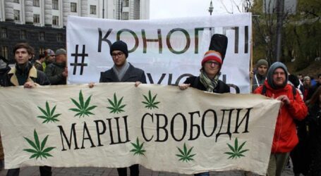 Верховна Рада схвалила легалізацію медичного канабісу