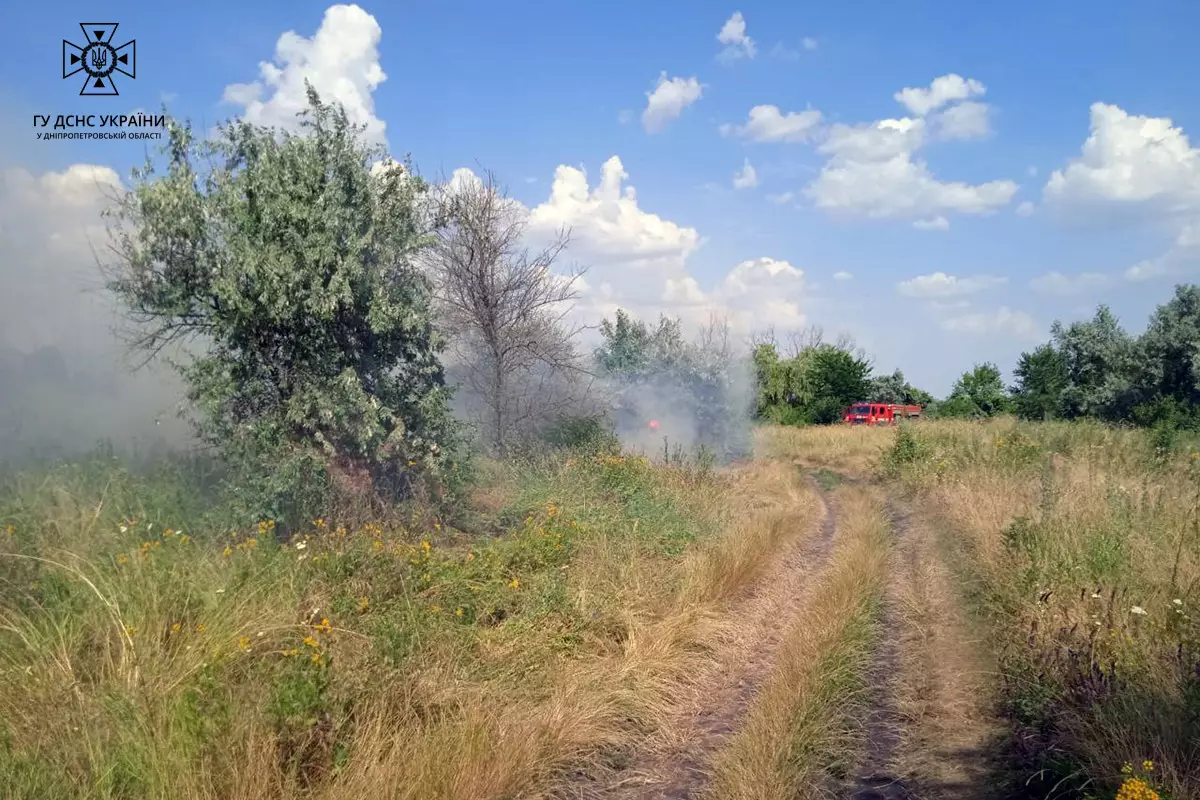 Понад 40 пожеж в екосистемах ліквідували рятувальники на Дніпропетровщині за минулу добу - ФОТО