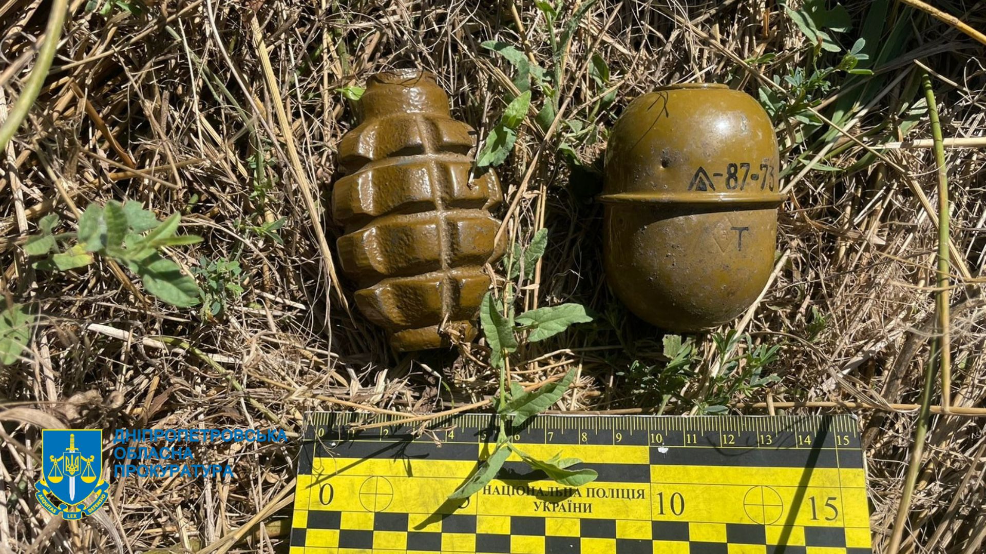 На Дніпропетровщині затримали учасників злочинної групи, яка торгувала зброєю та наркотиками на території області - ФОТО