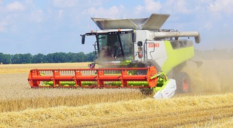 На Дніпропетровщині стартували жнива
