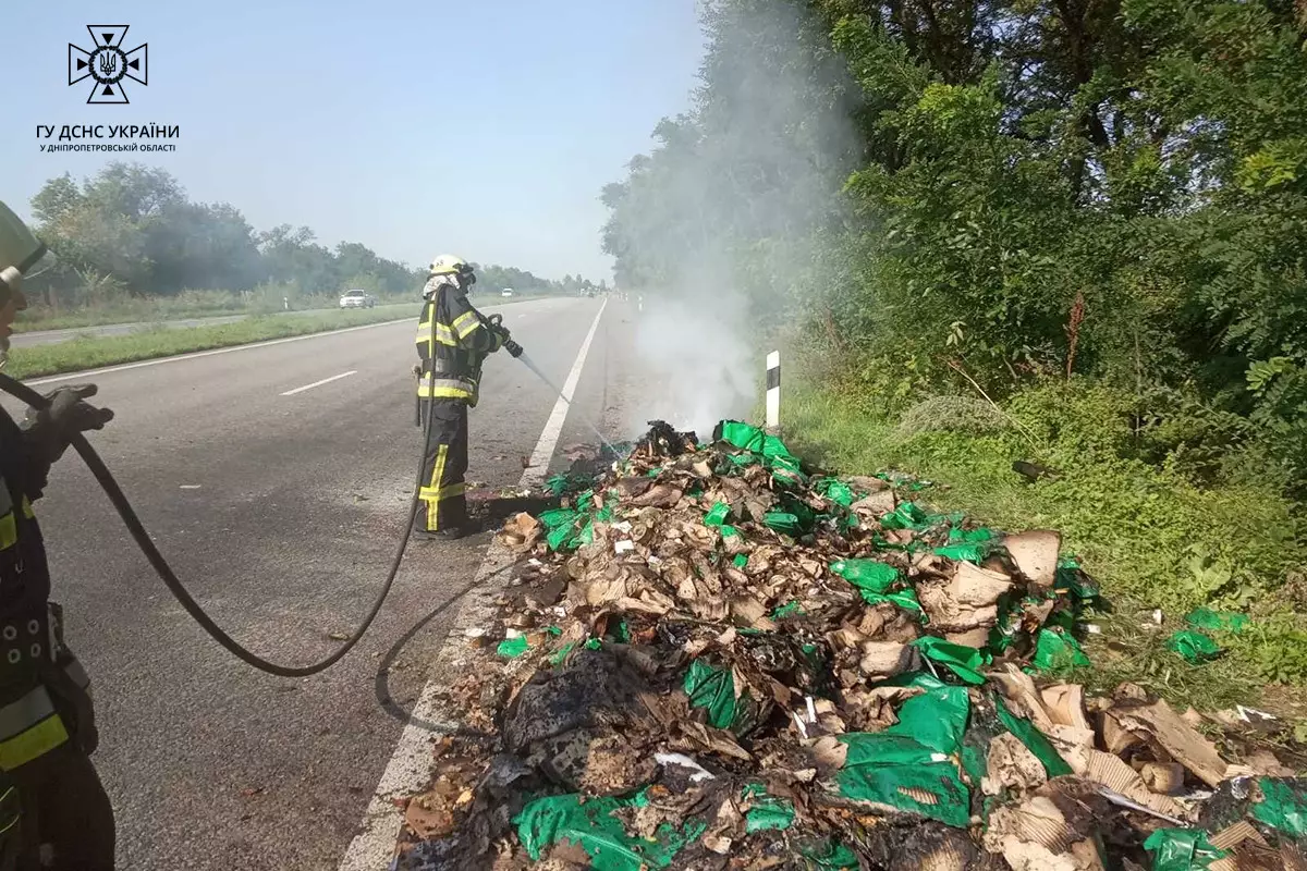 За минулу добу на Дніпропетровщині вогнеборці ліквідували 17 пожеж в екосистемах - ФОТО