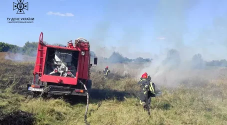 За минулу добу на Дніпропетровщині вогнеборці ліквідували 17 пожеж в екосистемах