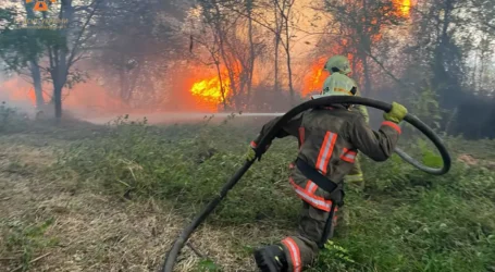 За минулу добу на Дніпропетровщині вигоріли 110 гектарів екосистеми