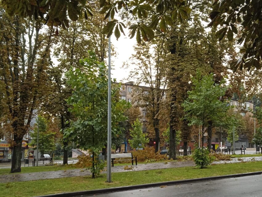 В Кам’янському усунено більшу частину наслідків п’ятничної негоди