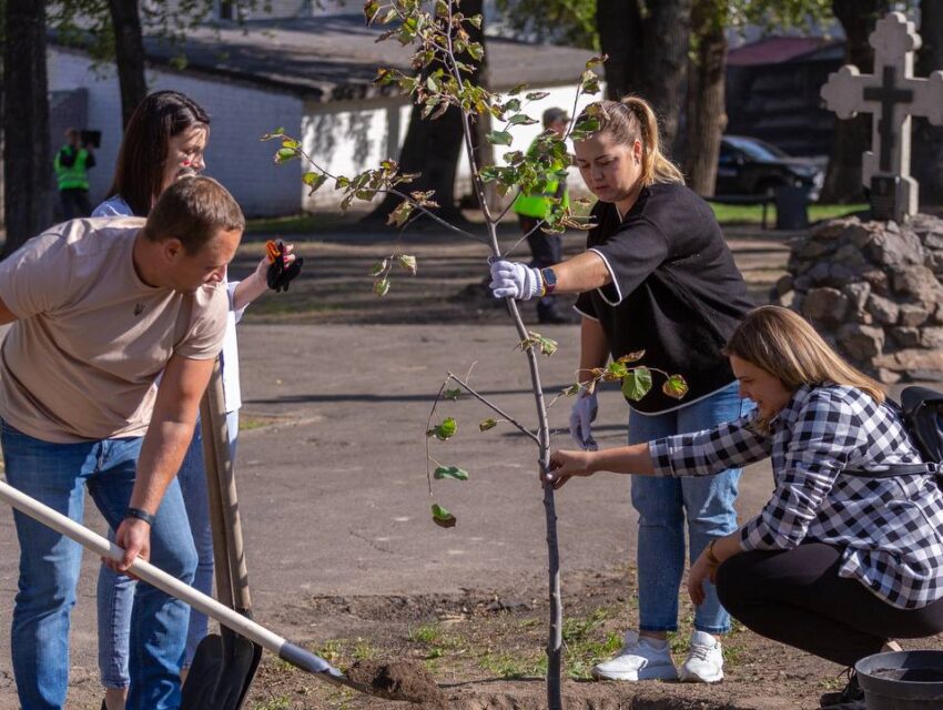 В Кам’янському висадили півсотні нових дерев замість повалених на початку вересня буревієм