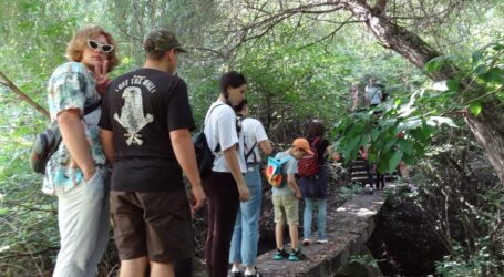 Учасники Літньої школи гідів в Кам’янському знайомились з природними явищами Самишиної балки