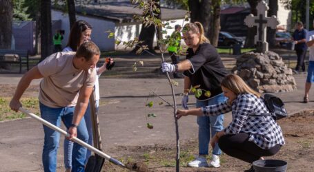 В Кам’янському висадили півсотні нових дерев замість повалених на початку вересня буревієм