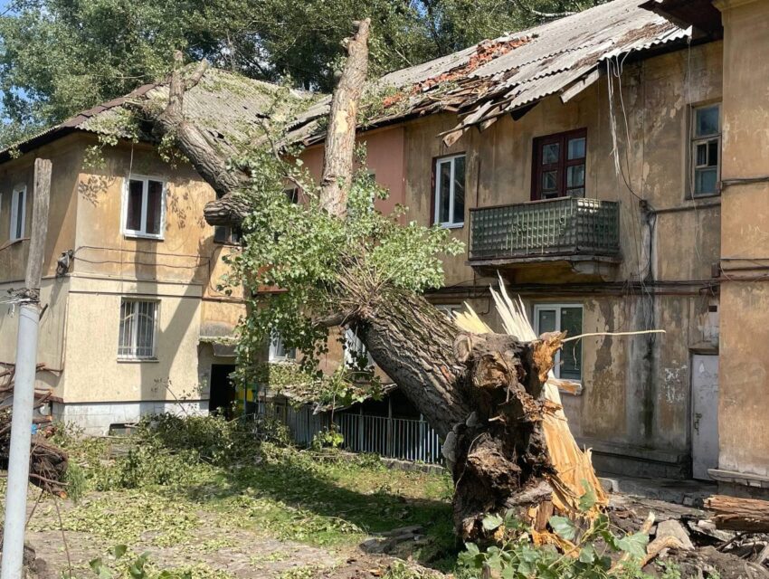 В Кам’янському продовжують прибирати повалені буревієм дерева та ремонтувати пошкоджені покрівлі