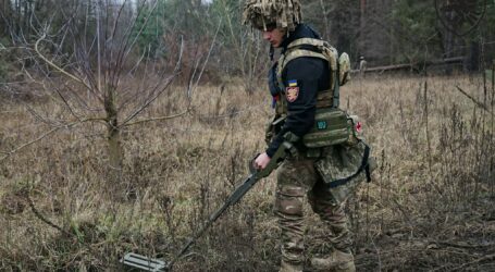 В Україні почали видавати ваучери на навчання саперів