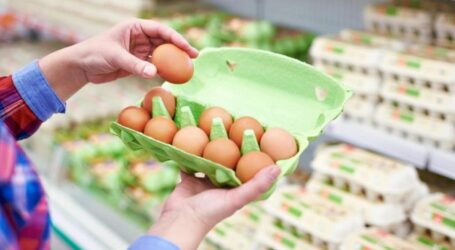 В Україні прогнозують здорожчання яєць
