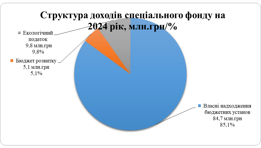 Оцінка доходів бюджету Кам’янської МТГ на 2024 рік - ФОТО