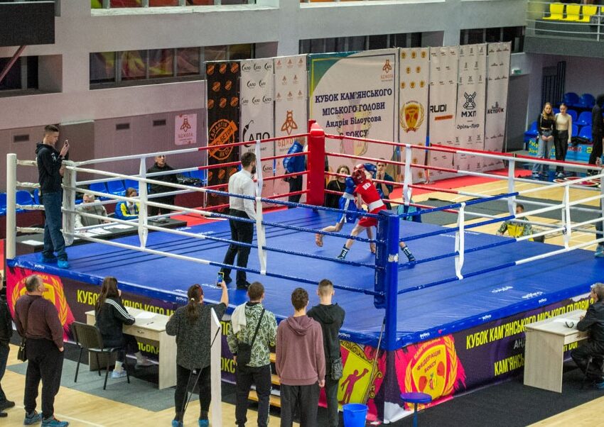 У Кам`янському проходить Кубок міського голови з боксу