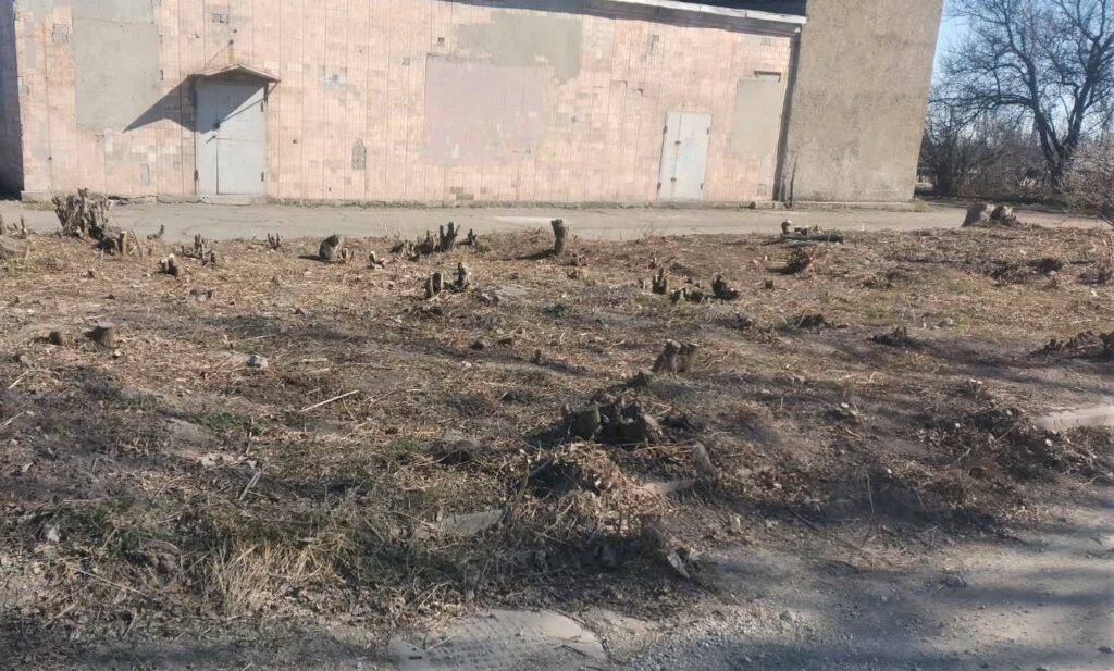 З приходом весни в Кам'янському розпочались толоки - ФОТО