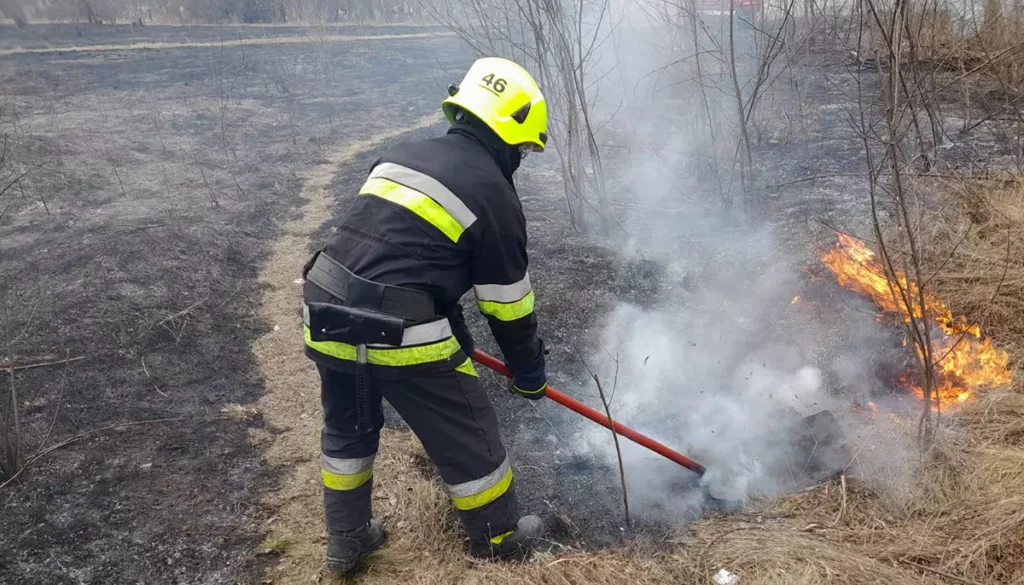Пожежі в екосистемах: надзвичайники попереджають про наслідки - ФОТО