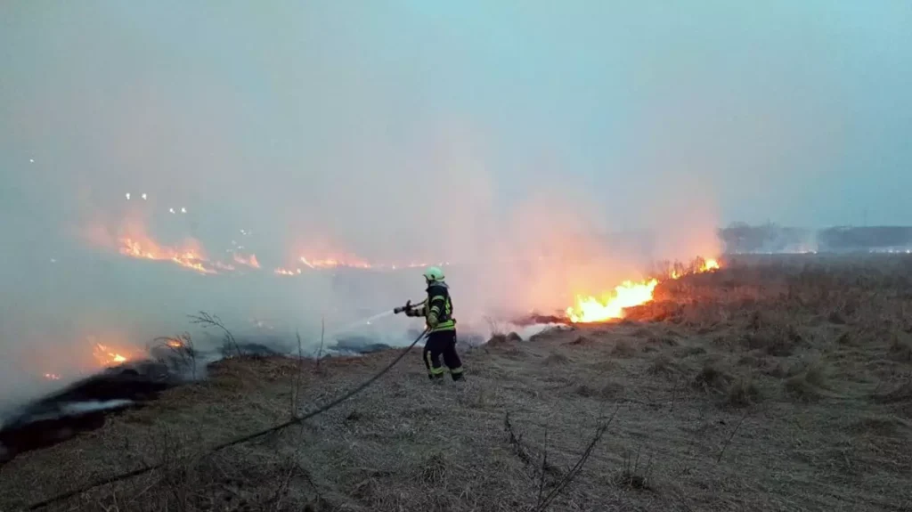 Пожежі в екосистемах: надзвичайники попереджають про наслідки - ФОТО