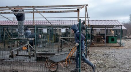 У Кам’янському притулку для тварин облаштовують вольєри для підопічних