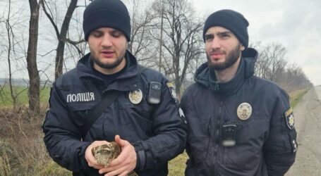 На Дніпропетровщині поліційні врятували яструба зі зламаним крилом